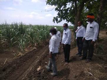 Preparation of Land for Sugarcane Cultivation