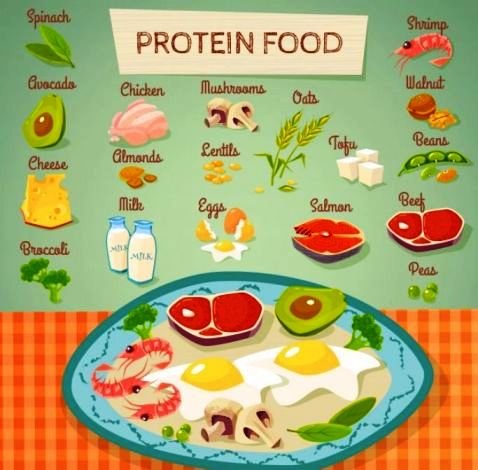 protein foods list marathi
