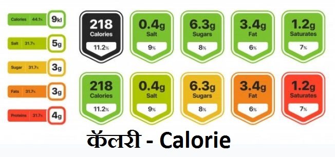 what is a calorie, how many calories we need.